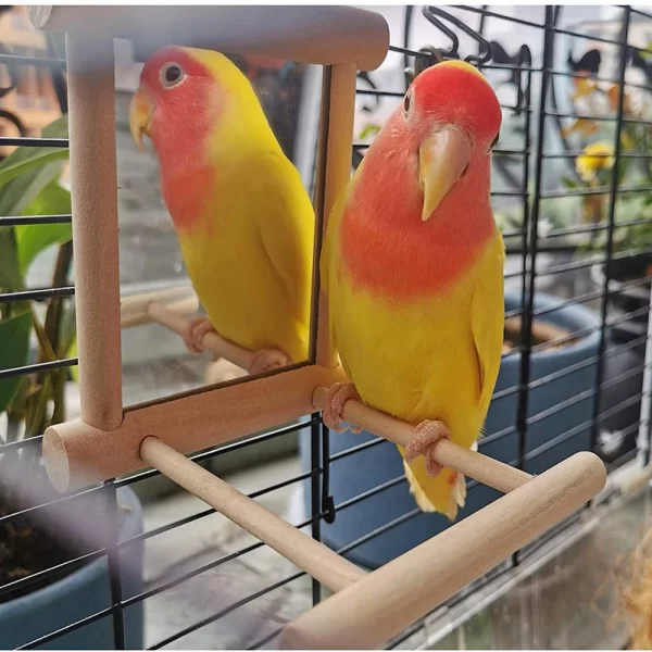 Wooden Cloud Ladder with Mirror – Fun Climbing & Jumping Platform for Parrots & Birds - Image 3