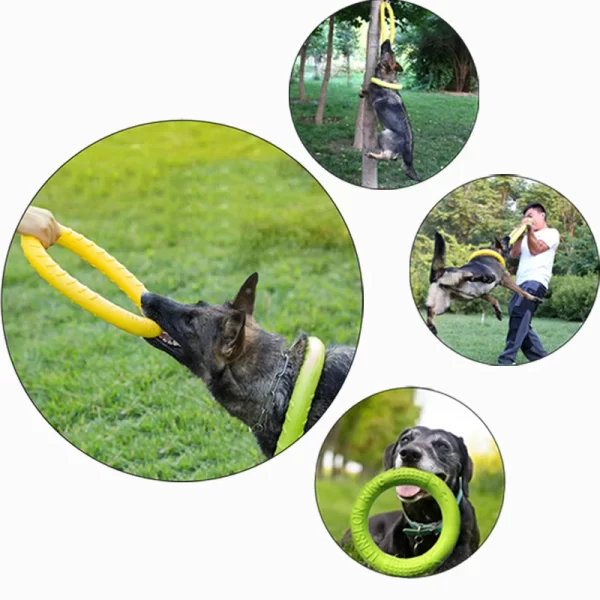 Durable Dog Training Ring – Interactive Floating Puller Toy for Active & Aggressive Chewers - Image 3