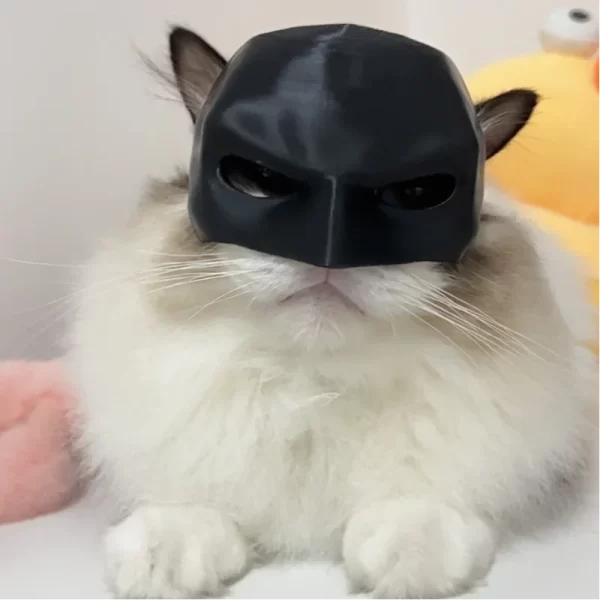 Black Bat Mask for Cats – Cute & Cool Matte Costume Accessory for Pets - Image 2