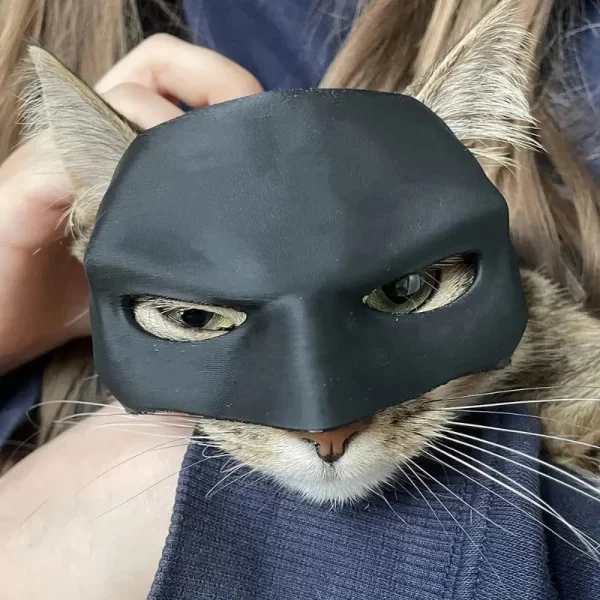 Black Bat Mask for Cats – Cute & Cool Matte Costume Accessory for Pets