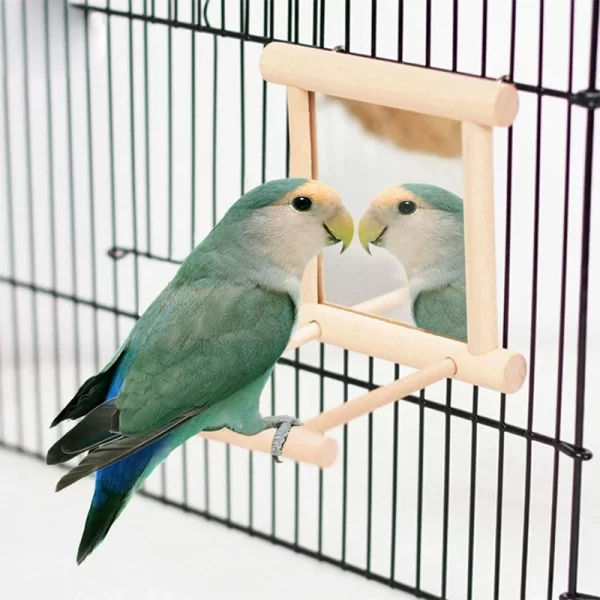 Wooden Cloud Ladder with Mirror – Fun Climbing & Jumping Platform for Parrots & Birds